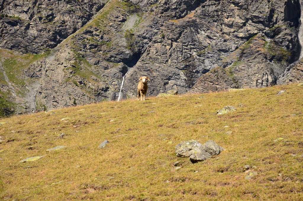 2015-07 Savoie/Orgère/DSC_0292.JPG